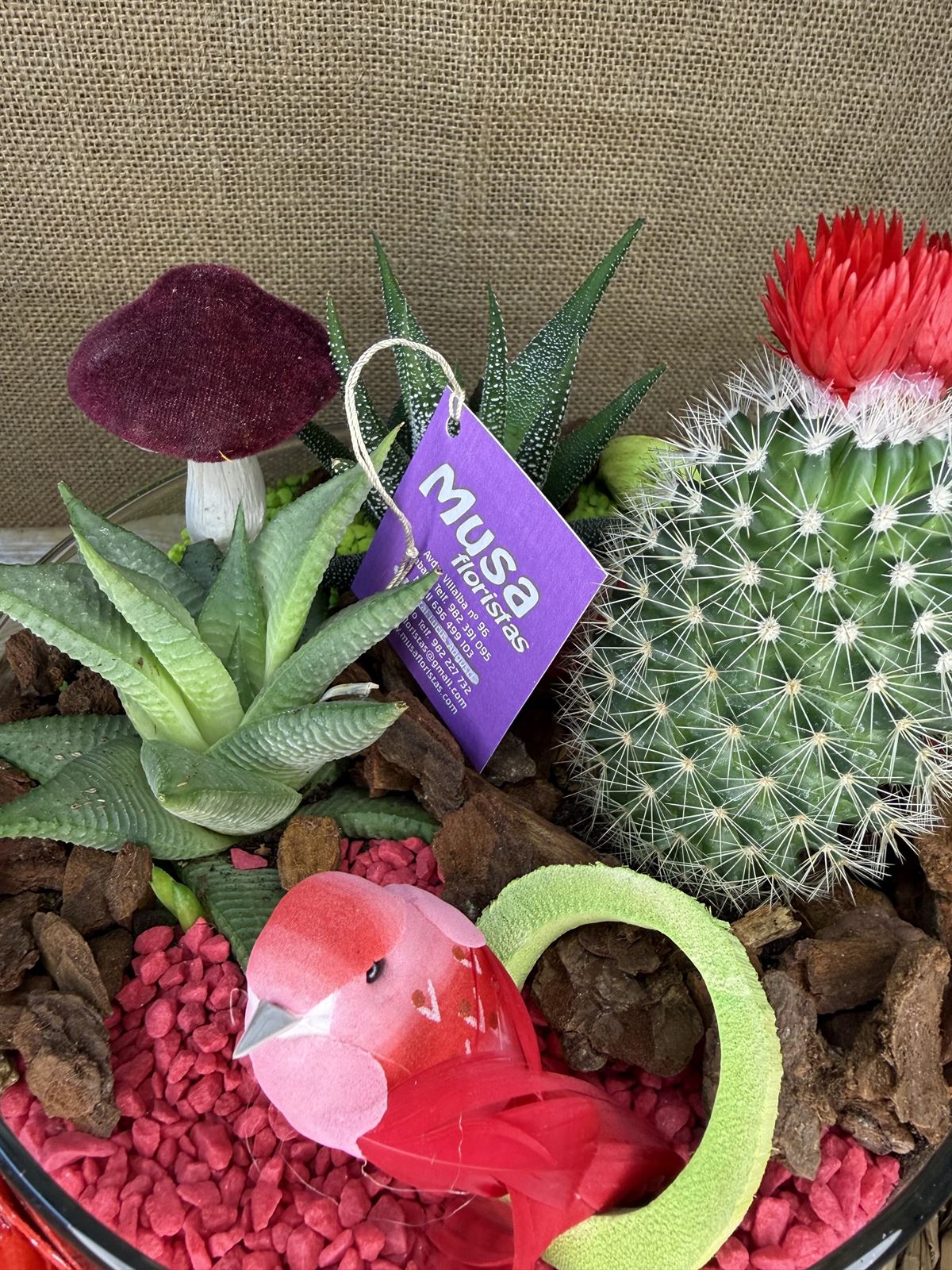 Terrario en cristal redondo en tonos rojos - Imagen 3