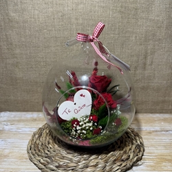 Terrario en forma de manzana - Imagen 1