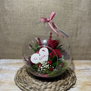 Terrario en forma de manzana - Imagen 1