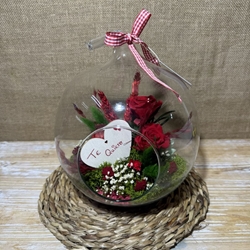 Terrario en forma de manzana - Imagen 2