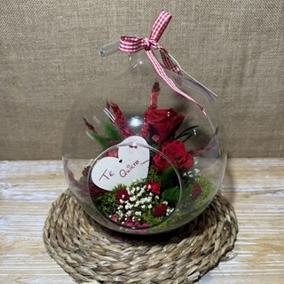 Terrario en forma de manzana - Imagen 2