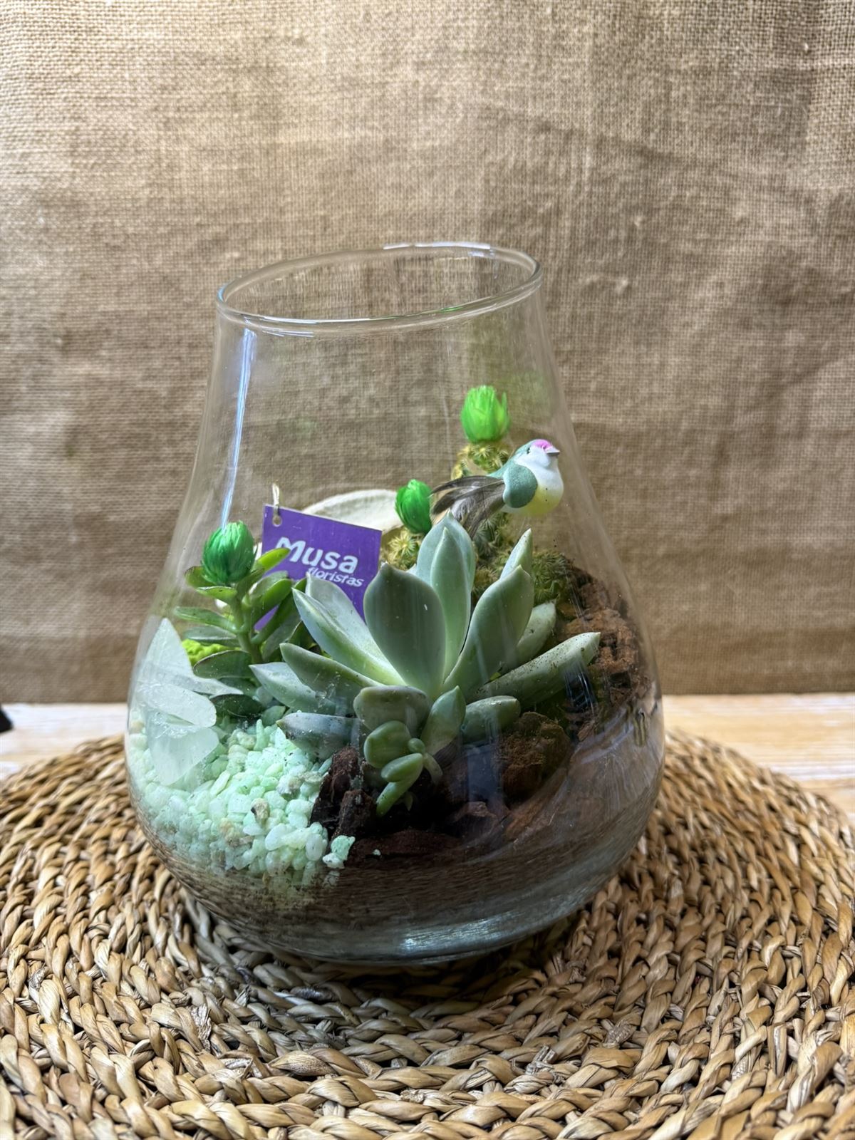 Terrario en jarrón - Imagen 1