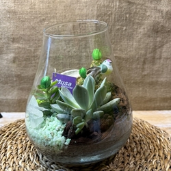 Terrario en jarrón - Imagen 1