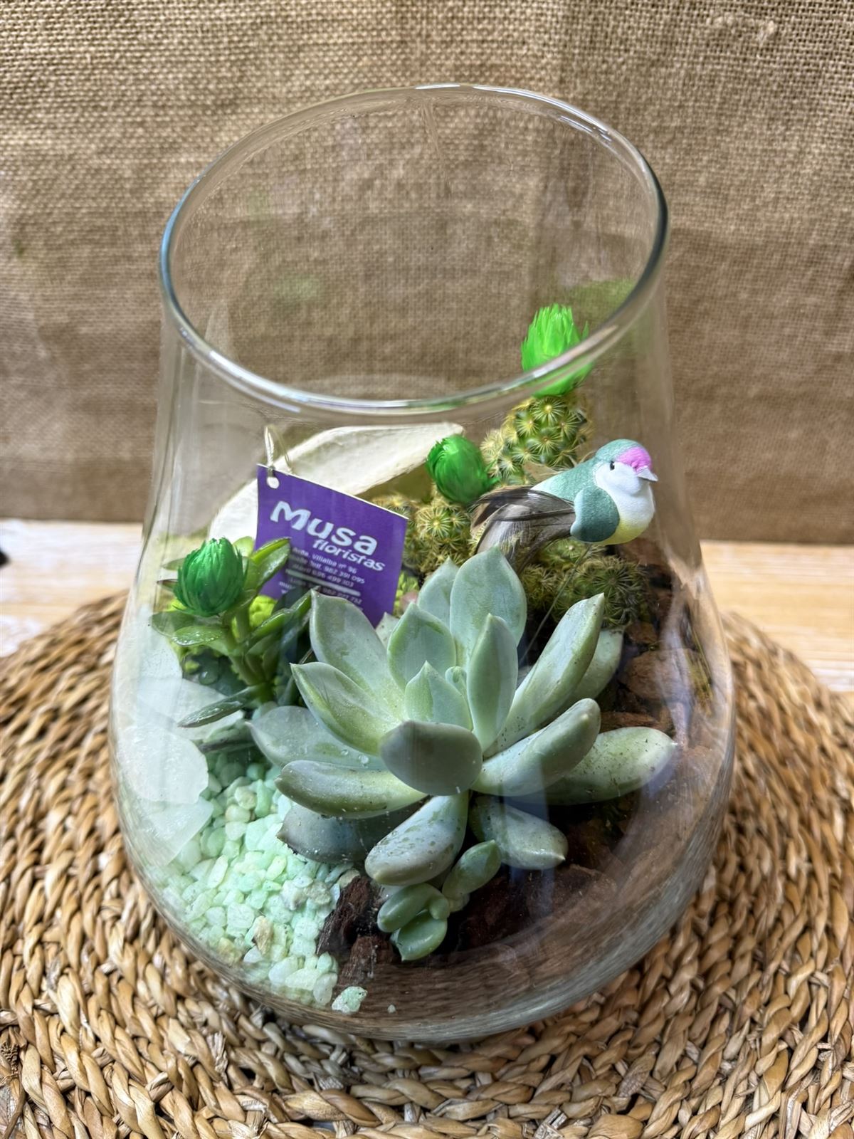 Terrario en jarrón - Imagen 3