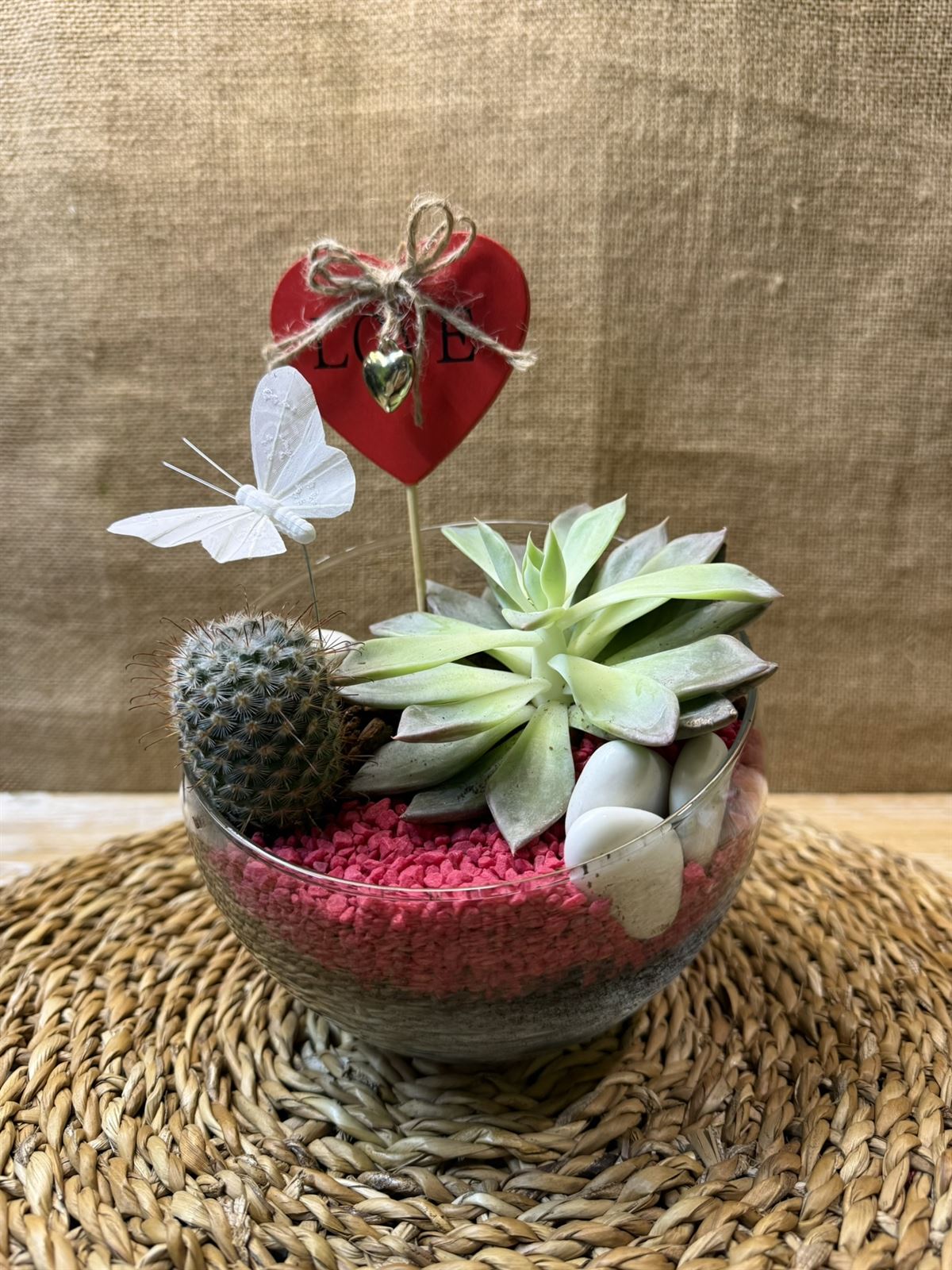 Terrario en pecera cortada pequeña - Imagen 1