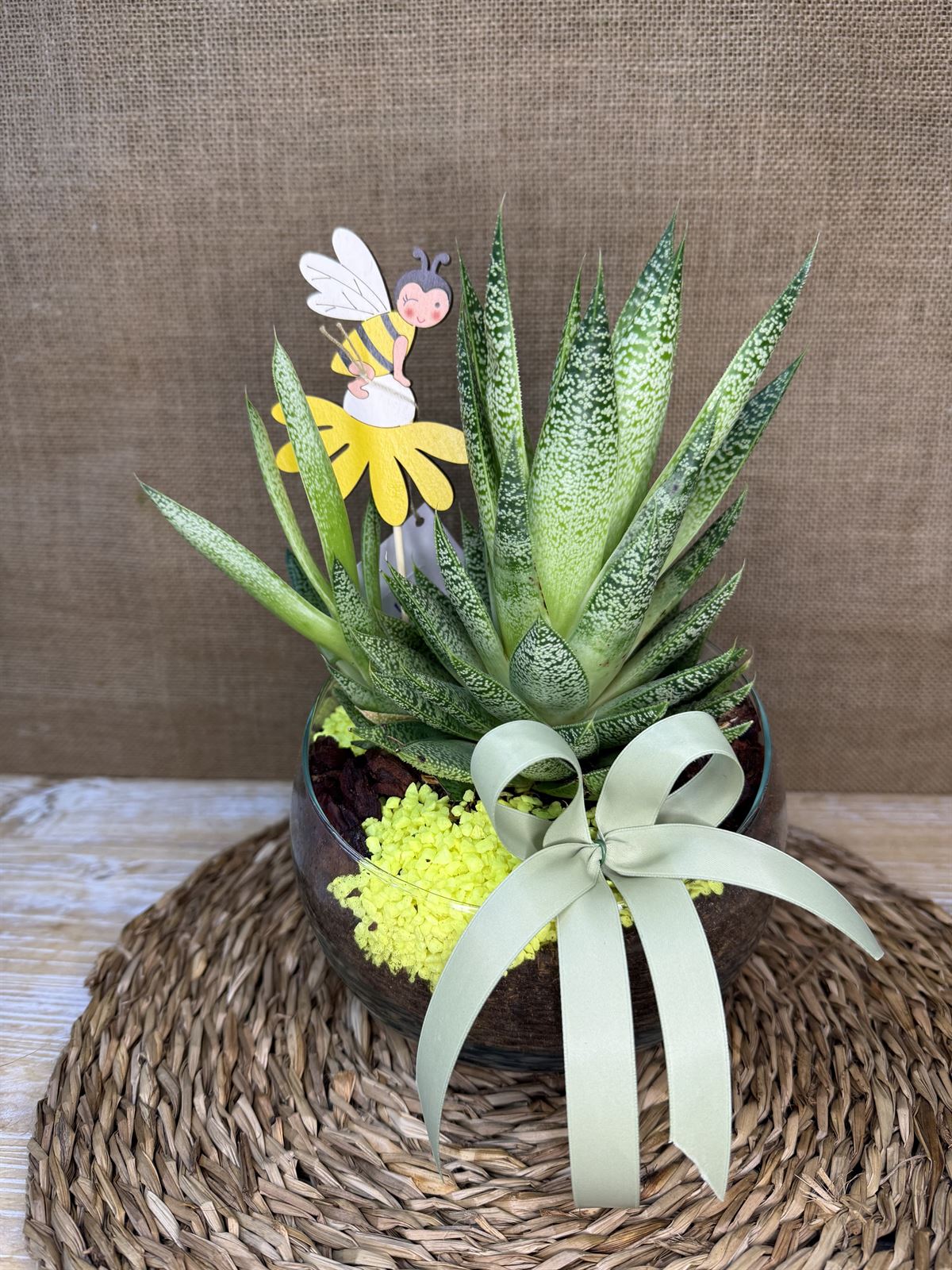 Terrario en pecera cortada - Imagen 1