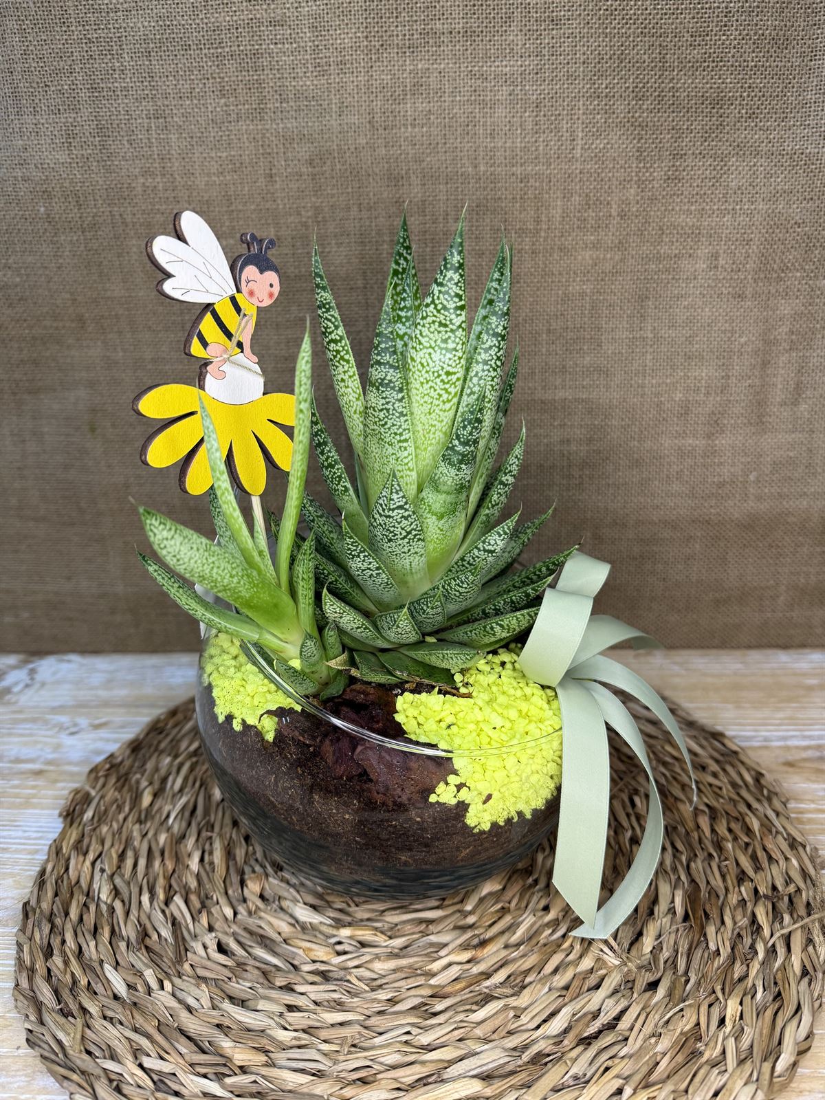 Terrario en pecera cortada - Imagen 2