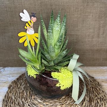 Terrario en pecera cortada - Imagen 2