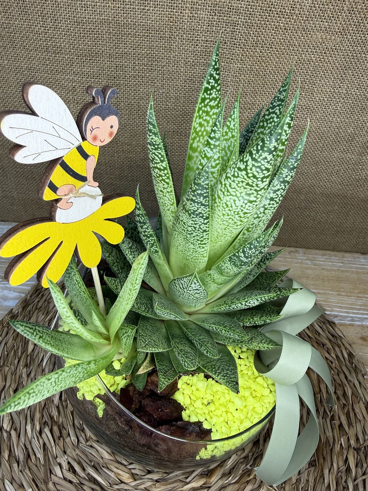 Terrario en pecera cortada - Imagen 3