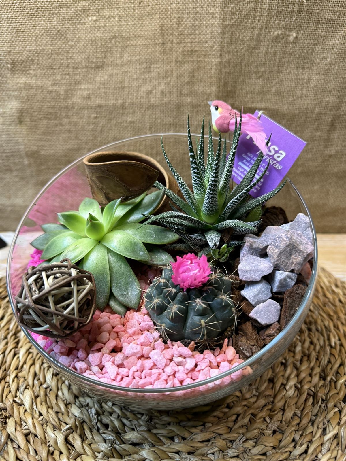 Terrario en pecera cortada - Imagen 2