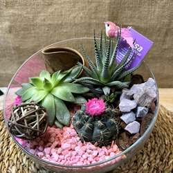 Terrario en pecera cortada - Imagen 2