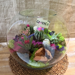 Terrario en pecera de cristal en tonos rosa - Imagen 1