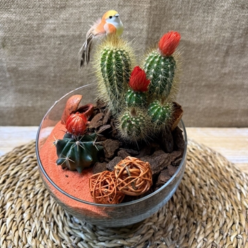 Terrario en pecera pequeña cortada - Imagen 2