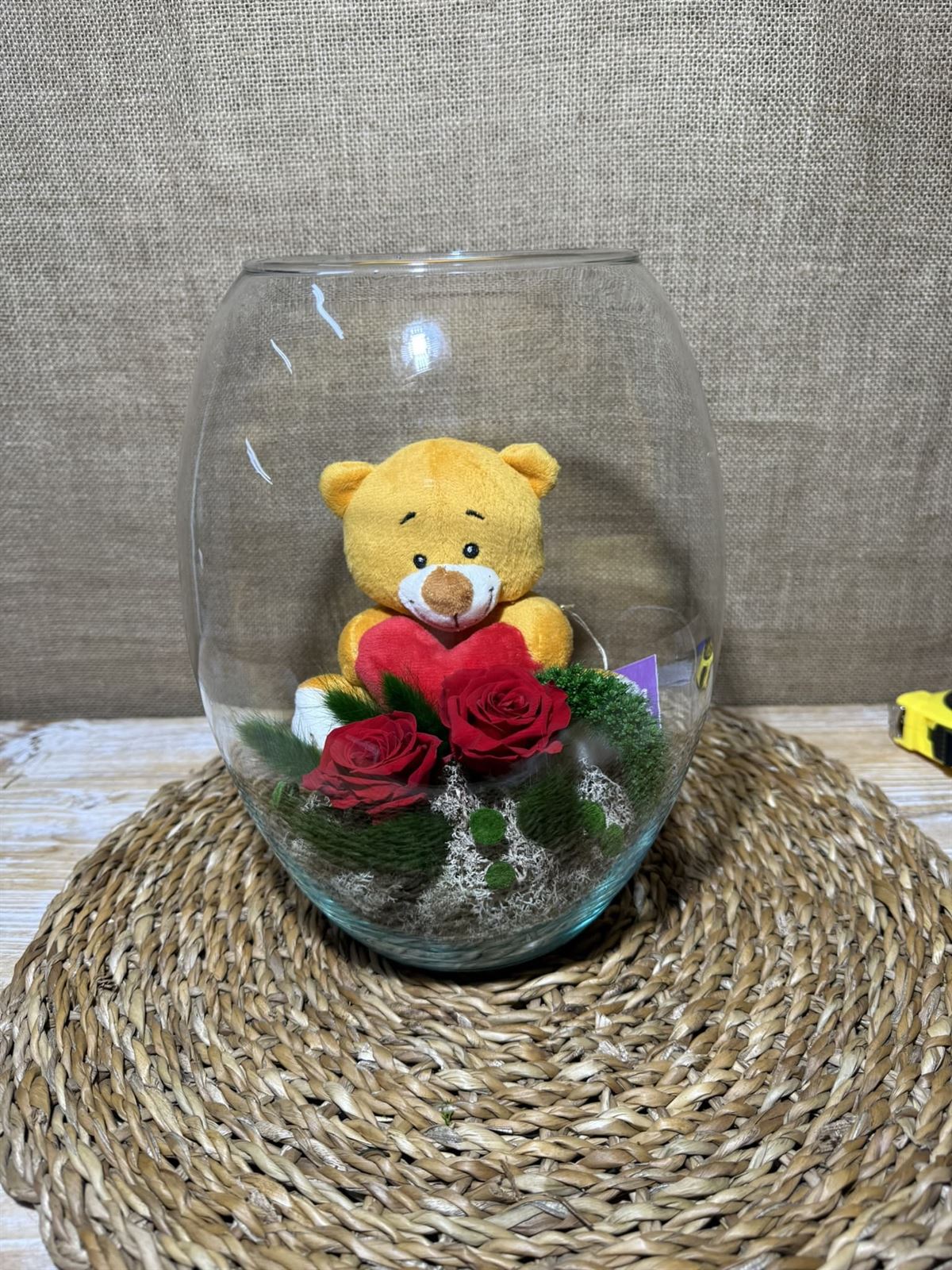 Terrario grant - Imagen 2