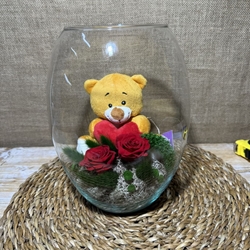 Terrario grant - Imagen 2