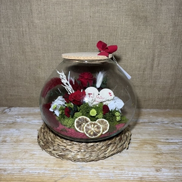 Terrario inside rojo - Imagen 1