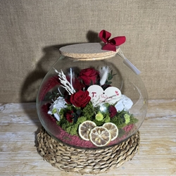 Terrario inside rojo - Imagen 2