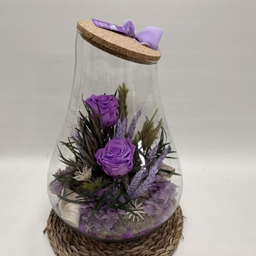 Terrario kumbolo en tonos morados - Imagen 2