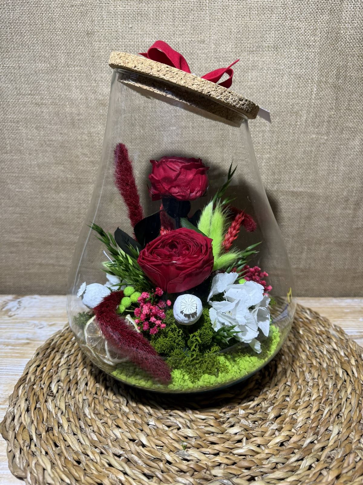 Terrario kumbolo grande - Imagen 1