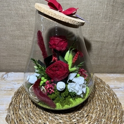 Terrario kumbolo grande - Imagen 2