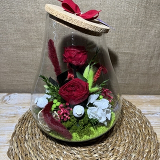 Terrario kumbolo grande - Imagen 2