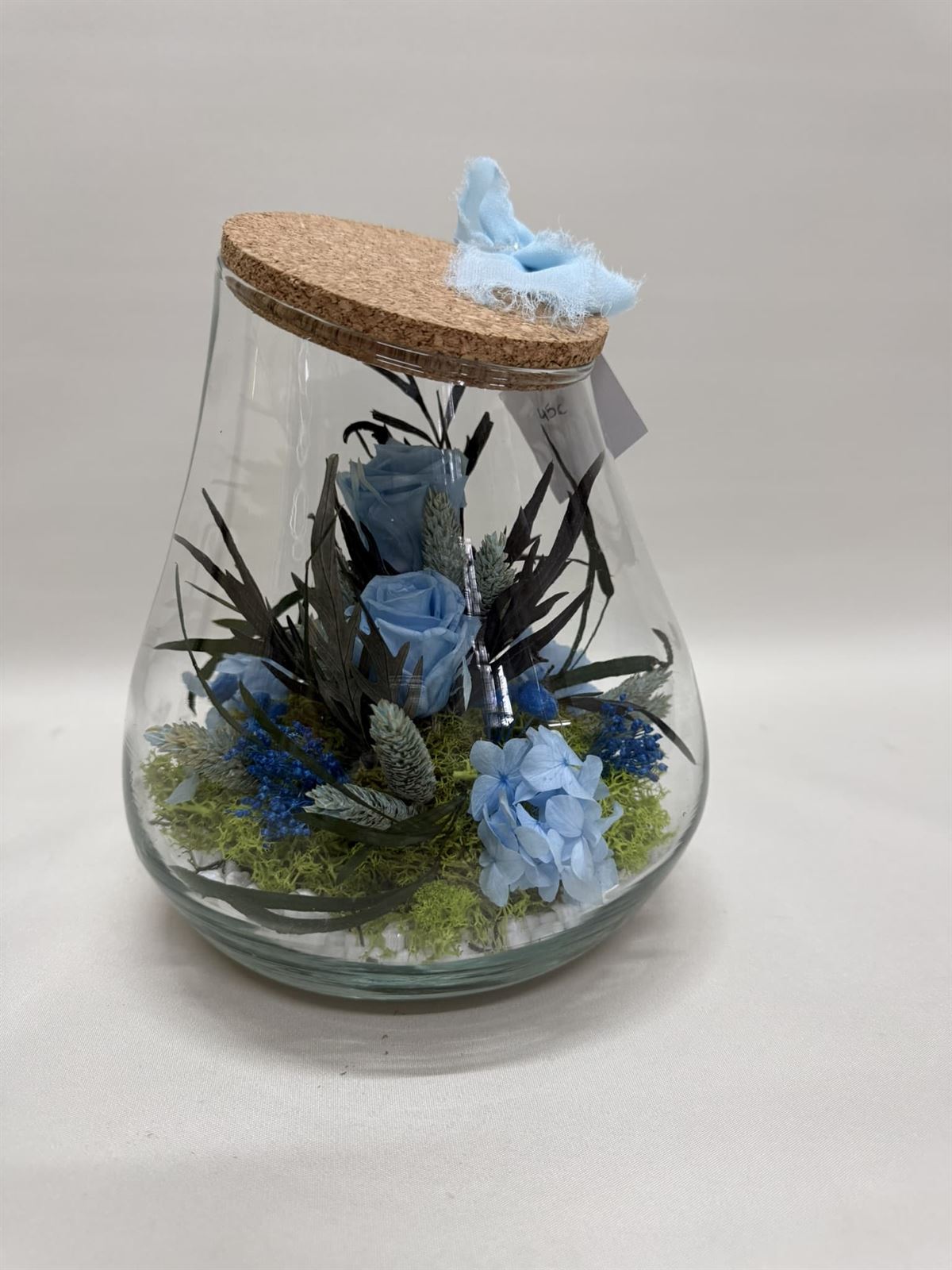 Terrario kumbolo pequeño en tono azul claro - Imagen 1