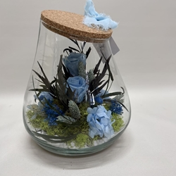 Terrario kumbolo pequeño en tono azul claro - Imagen 1
