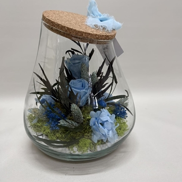 Terrario kumbolo pequeño en tono azul claro - Imagen 1