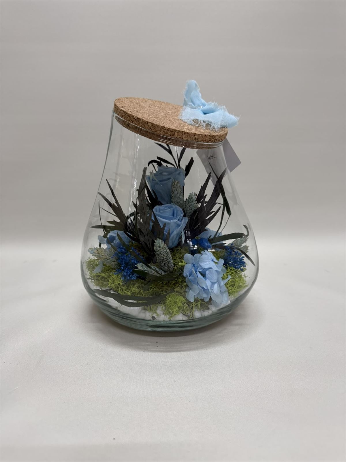 Terrario kumbolo pequeño en tono azul claro - Imagen 2