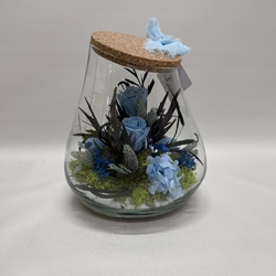 Terrario kumbolo pequeño en tono azul claro - Imagen 2