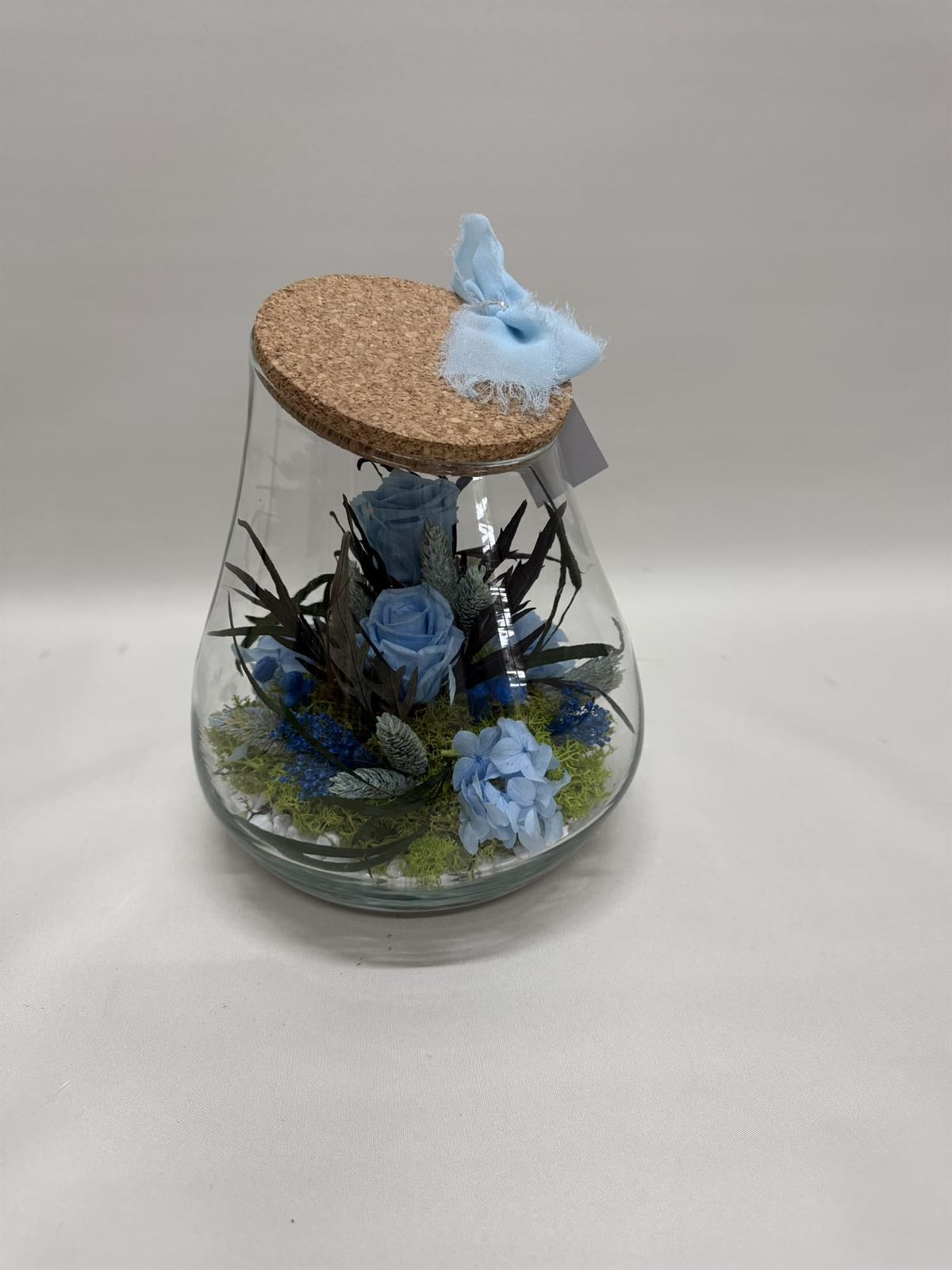 Terrario kumbolo pequeño en tono azul claro - Imagen 3