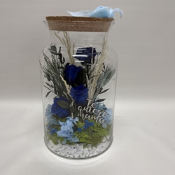 Terrario mery en tonos azules - Imagen 1