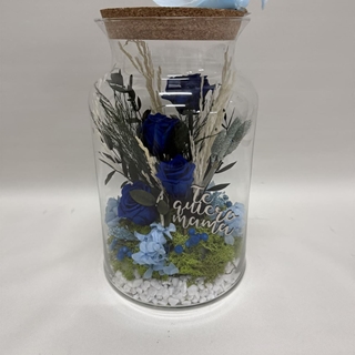 Terrario mery en tonos azules - Imagen 2