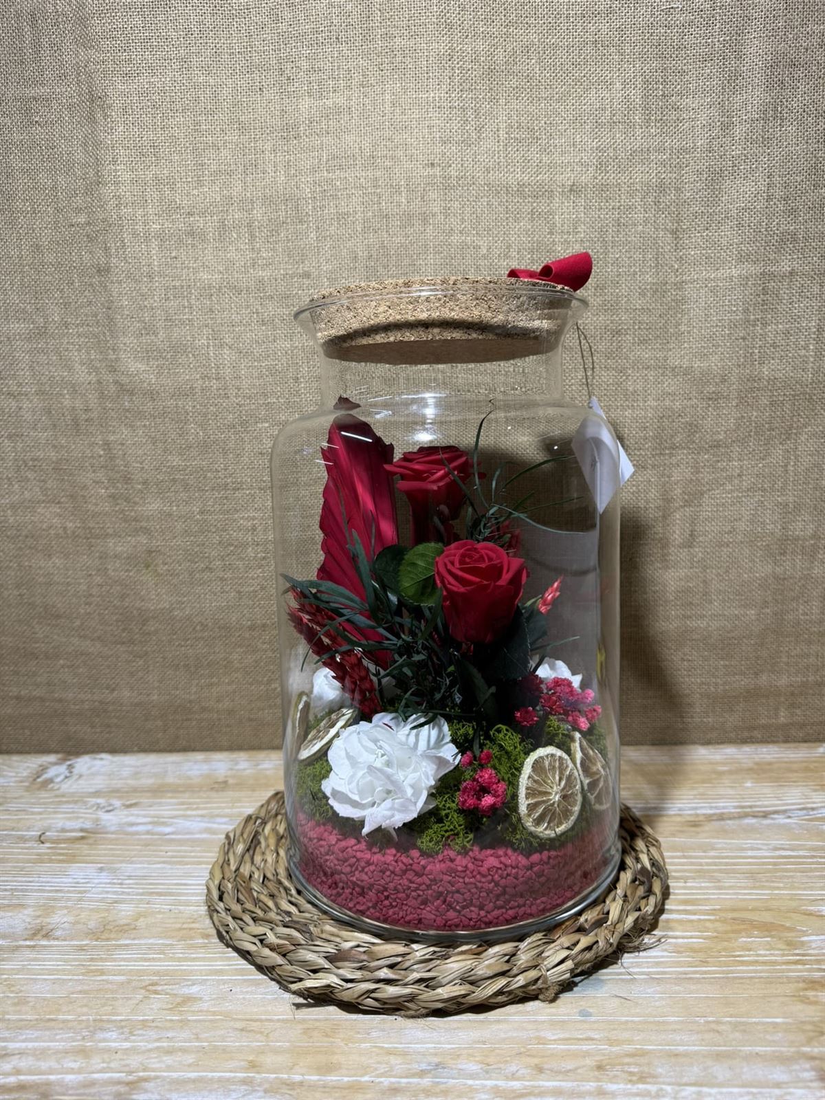 Terrario mery rojo - Imagen 1