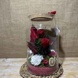 Terrario mery rojo - Imagen 1