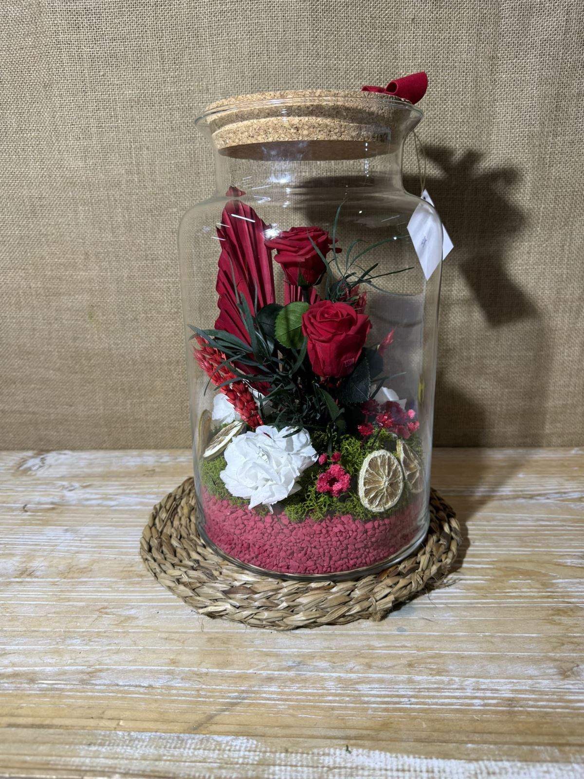 Terrario mery rojo - Imagen 2