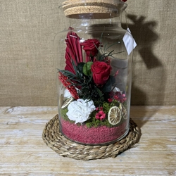 Terrario mery rojo - Imagen 2