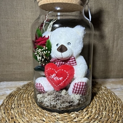 Terrario mery - Imagen 1