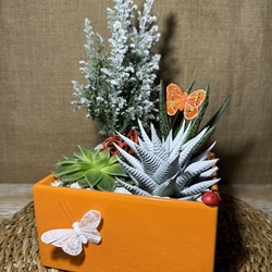 Terrario naranja - Imagen 1