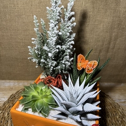 Terrario naranja - Imagen 2