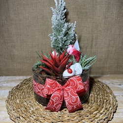 Terrario rojo en cristal - Imagen 1