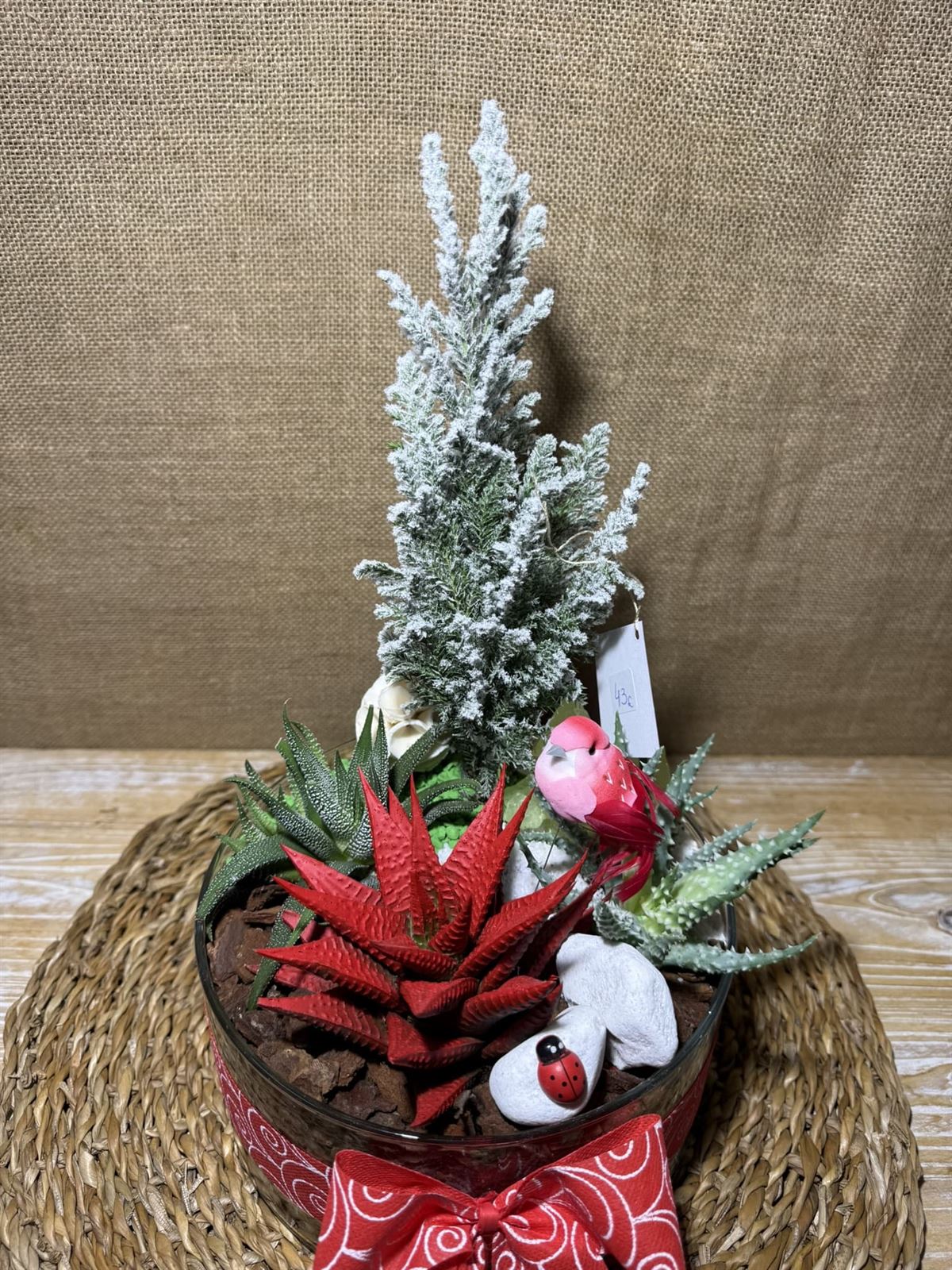 Terrario rojo en cristal - Imagen 2