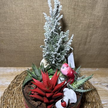 Terrario rojo en cristal - Imagen 2