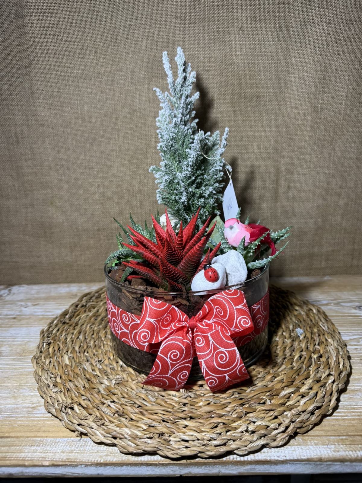 Terrario rojo en cristal - Imagen 3