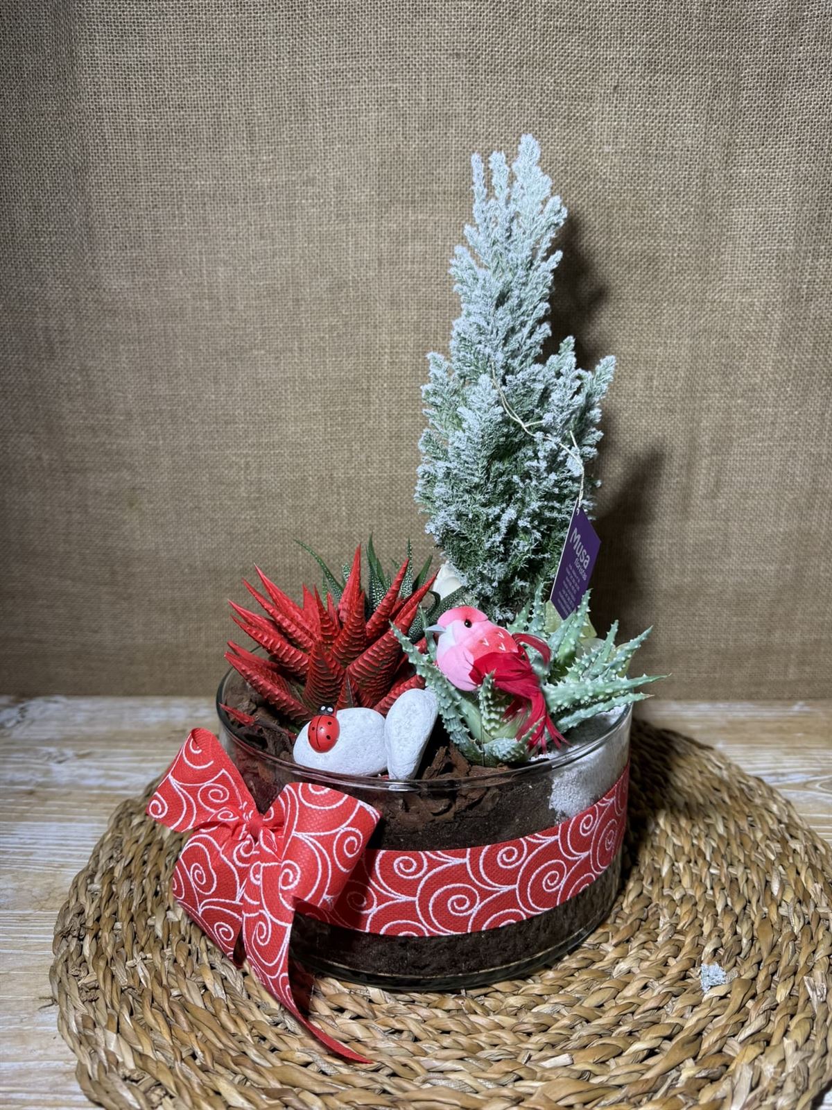 Terrario rojo en cristal - Imagen 4