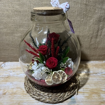 Terrario rojo - Imagen 2