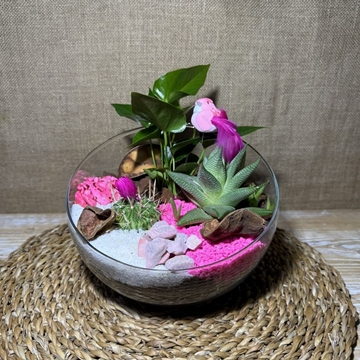 Terrario rosa en pecera cortada - Imagen 1