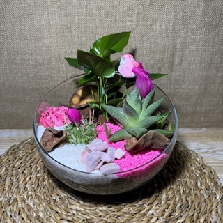 Terrario rosa en pecera cortada - Imagen 2