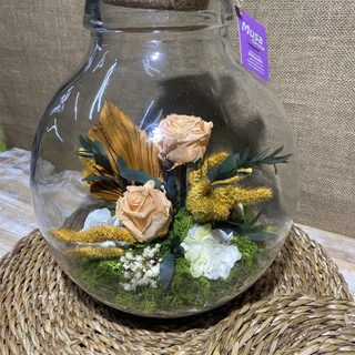 Terrarium con tapa de corcho tonos melocotón - Imagen 2