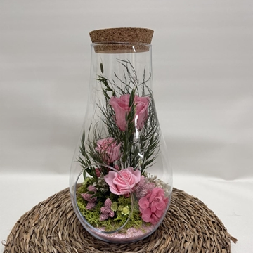 Terrarium en forma de botella - Imagen 1